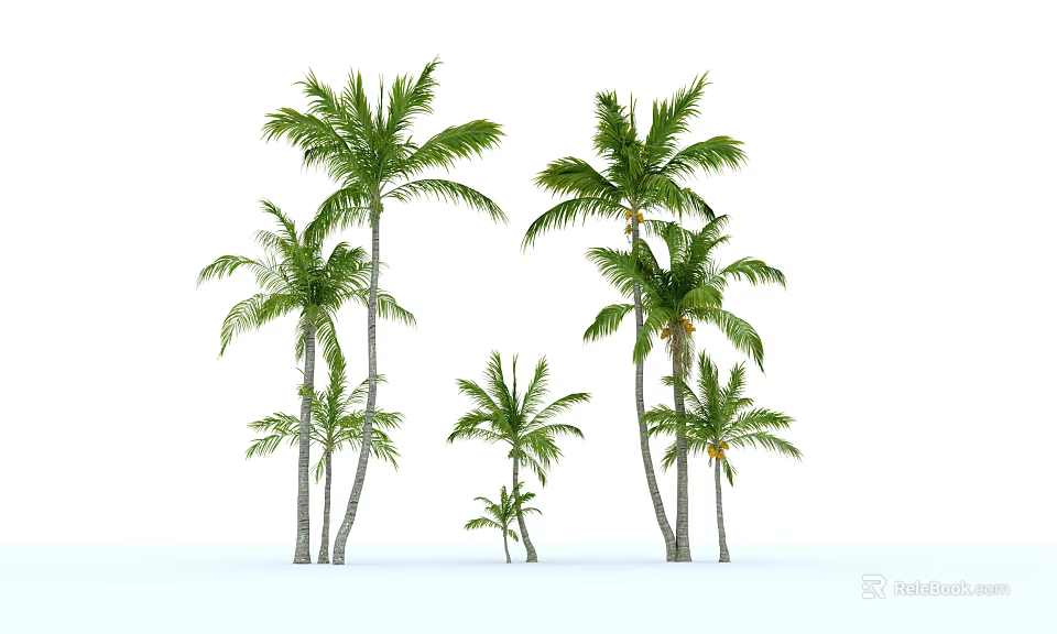 Green Leafy Palm Trees of Various Sizes Against White Background 3d model 
