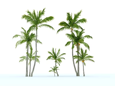 Green Leafy Palm Trees of Various Sizes Against White Background 3d model
