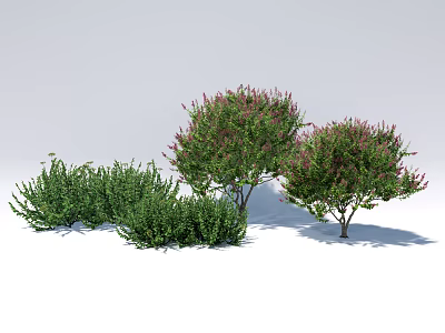 Green Ground Cover Plants With Flowering Shrubs In Garden Landscape 3d model