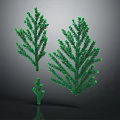 Green Leafy Plants Resembling Pine Needles Three Sizes on Gray Gradient Background with Reflections 3d model