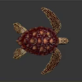 Vibrant Purple Red Patterned Sea Turtle With Textured Shell And Spotted Flippers