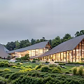 Modern Architectural Design Featuring Sloped Roofs Glass Windows And Lush Garden Greenery
