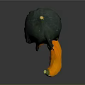 Vibrant Decorative Gourd Featuring Green Yellow Orange Tones And Curved Stem