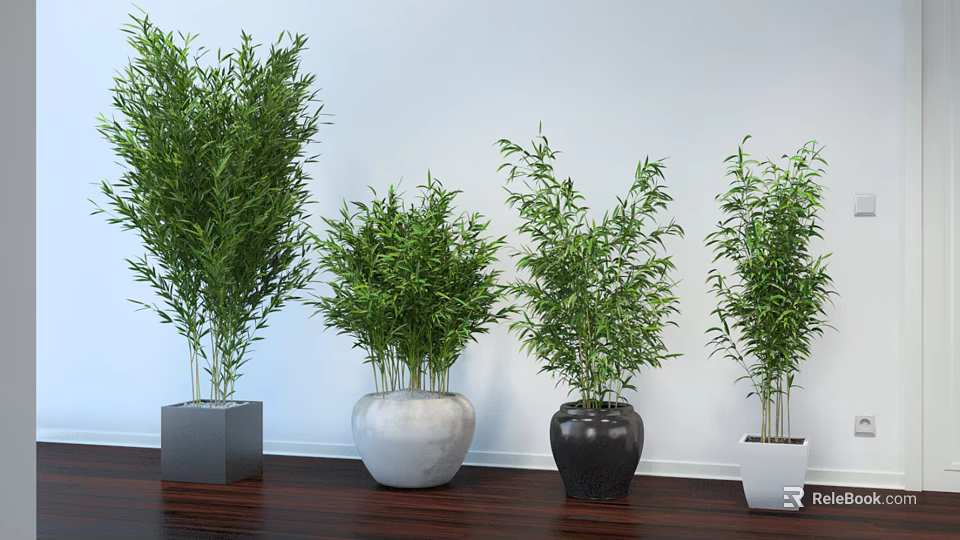 Bamboo Bonsai Potted Plants In Various Pots On Wooden Floor With White Wall 3d model 