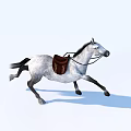 Running Gray and White Horse With Brown Saddle On Light Blue Background Showing Shadow