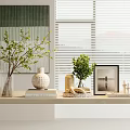 Modern Decorative Ornament Set With Green Branches White Vase Picture Frame And Books On Shelf