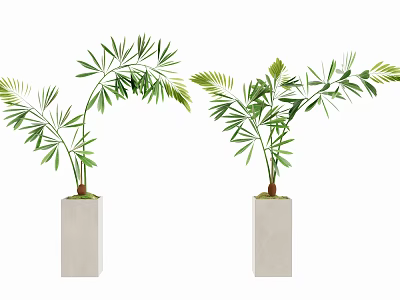 Decorative Bonsai Potted Plants With Green Leaves In White Square Planters 3d model