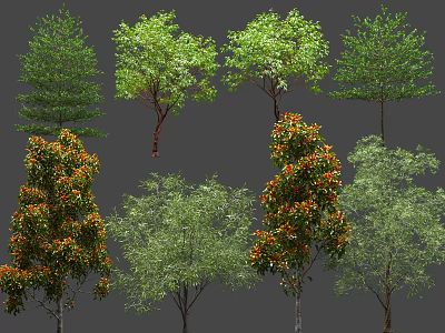 Different Arbor Tree Varieties With Green Leaves Dense Canopies and Various Heights 3d model