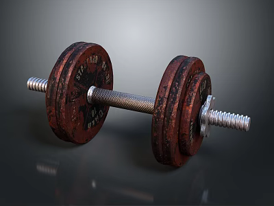 Vintage Cast Iron Dumbbell With Rustic Weight Plates And Metal Bar 3d model
