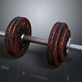 Vintage Cast Iron Dumbbell With Rustic Weight Plates And Metal Bar