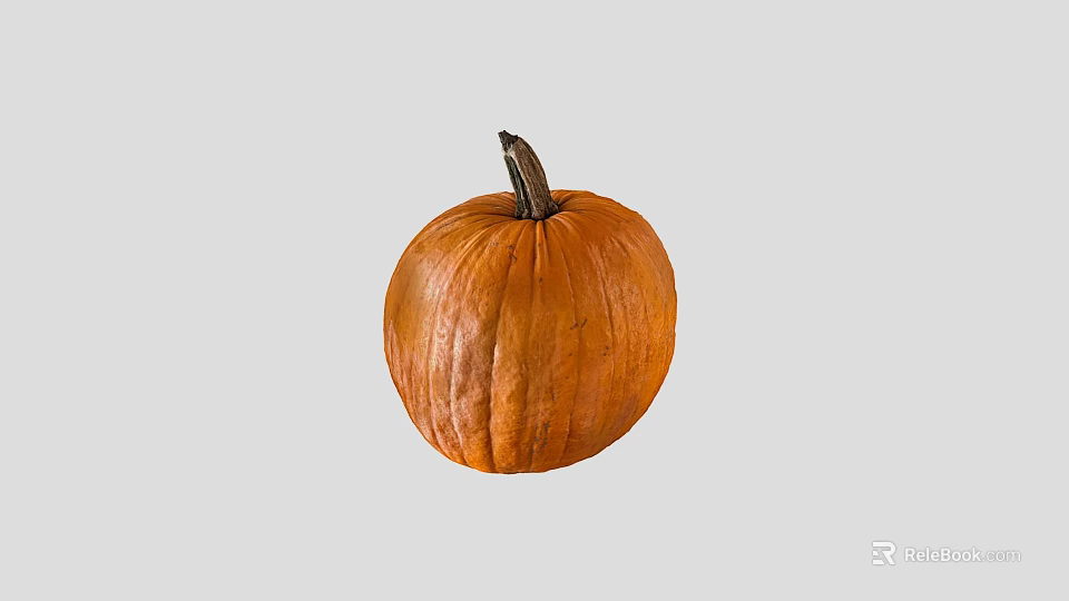 Fresh Orange Pumpkin Single Ripe Vegetable With Smooth Skin And Natural Stem 3d model 