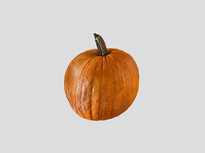 Fresh Orange Pumpkin Single Ripe Vegetable With Smooth Skin And Natural Stem 3d model