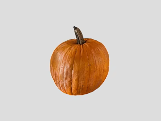 Modern Pumpkin 3d model