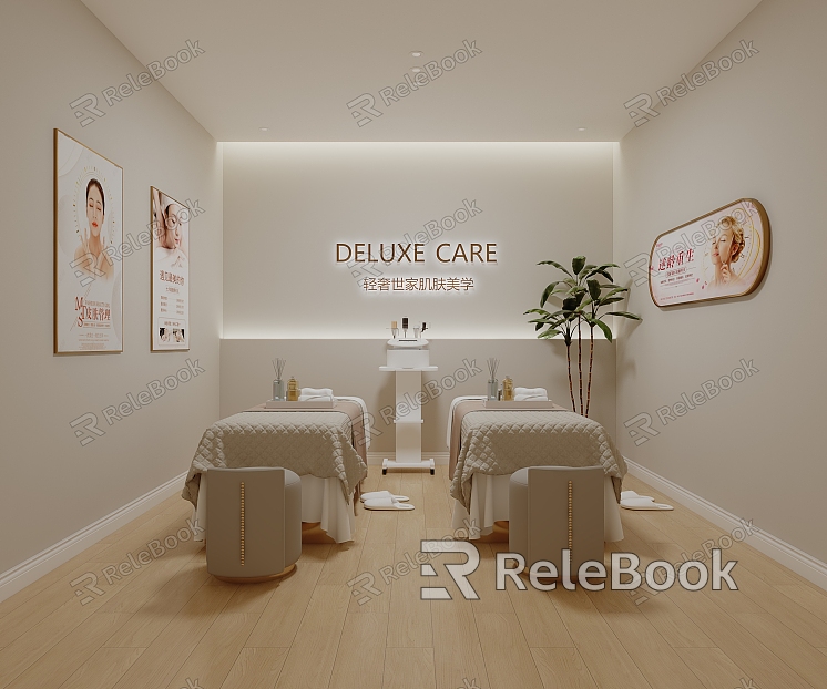 Beauty Salon Beauty SPA model