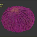 Rustic Dried Fruit With Textured Brown Surface And Circular Shape