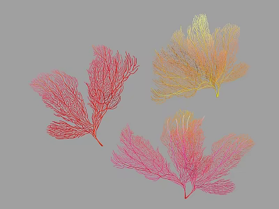 Vibrant Red Yellow Pink Feathery Aquatic Plants With Elegant Frond Shapes 3d model
