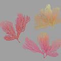 Vibrant Red Yellow Pink Feathery Aquatic Plants With Elegant Frond Shapes