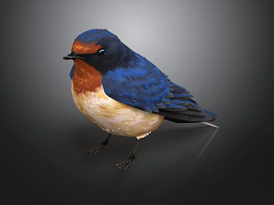 Vibrant Swallow with Blue Wings Orange Chest Perched on Dark Background 3d model