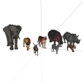 Various Animal Figures Collection Including Elephant Lion Tiger Hippo Rhino Deer Zebra And Bear