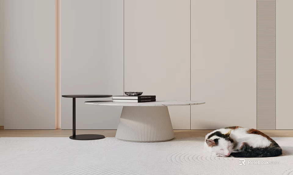 Modern Round Coffee Table With Books On Surface And Cat Sleeping On Rug 3d model