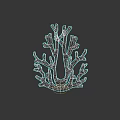 Detailed Vibrant Red Coral Shaped Botanical Art on Black Background
