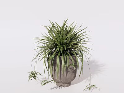 Bonsai Potted Plant With Green Slender Leaves Trailing Branches In Concrete Pot For Indoor Decor 3d model