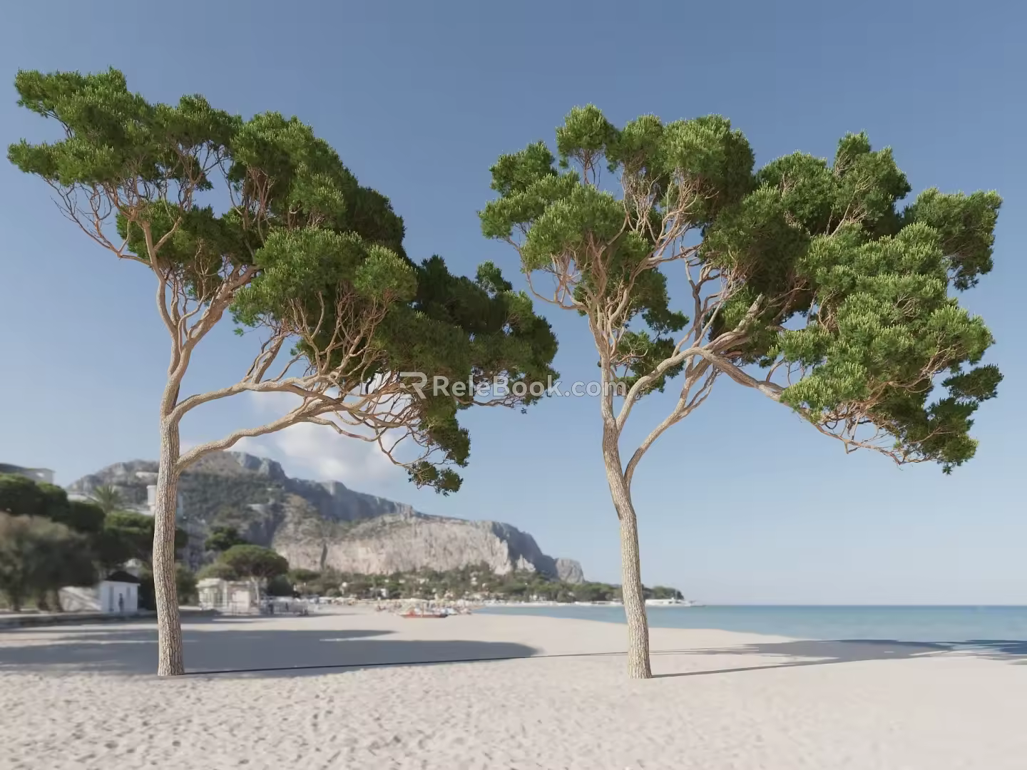 Beach Trees Seaside Trees Tropical Trees Landscape Trees Plants 3d model