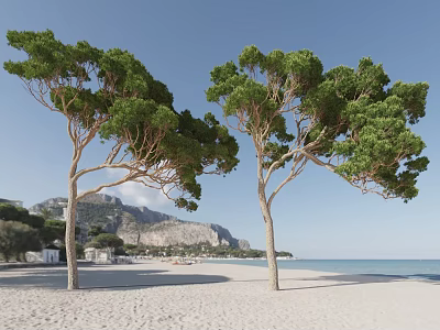 Beach Trees Seaside Trees Tropical Trees Landscape Trees Plants 3d model