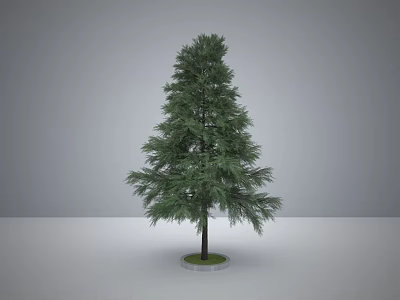 Tall Evergreen Arbor With Lush Green Foliage And Brown Trunk On Circular Base 3d model
