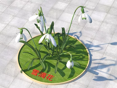 Snowdrops With White Flowers And Green Leaves On Round Grassy Base Against Gray Square Tiles 3d model