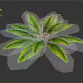 Lush Green Plant Leaves With Vibrant Foliage Isolated On Dark Background