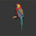 Vibrant Red Parrot with Colorful Feathers Perched on Wooden Branch Against Gray Background