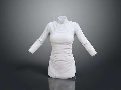 Elegant White High Neck Long Sleeve Fitted Waist Minimalist Dress Design 3d model