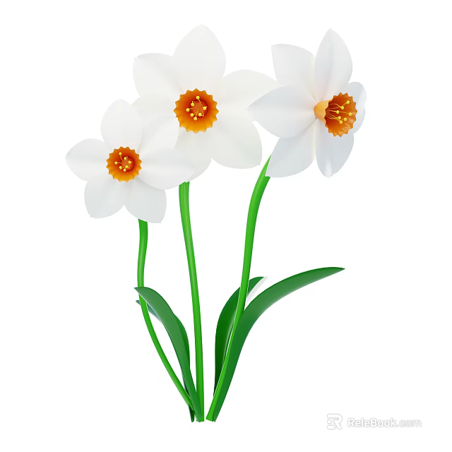 Beautiful White Daffodil Flowers With Orange Centers And Green Stems Leaves 3d model 