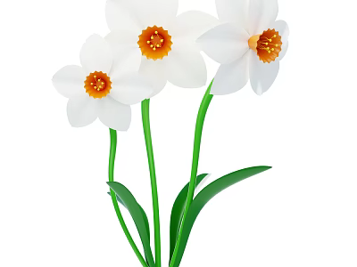 Beautiful White Daffodil Flowers With Orange Centers And Green Stems Leaves 3d model