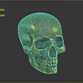 Golden Metallic Human Skull Decorative Sculpture With Detailed Facial Features And Glossy Surface