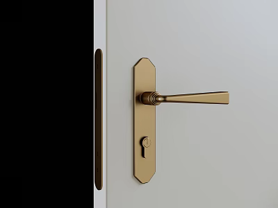 Golden Door Handle with Keyhole on White Door Modern Minimalist Style 3d model