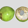 Fresh Green Coconut Showcasing Whole Fruit and Opened One with Straw and Spoon