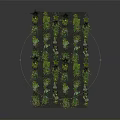 Diverse Potted Plants with Lush Green Foliage Arranged Neatly on Black Substrate