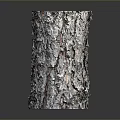 Natural Wooden Stump Decorative Item With Rough Bark And Smooth Top Surface