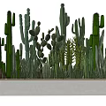 Potted Cactus Plants With Various Shapes In Gray Rectangular Planter For Indoor Decor 3d model