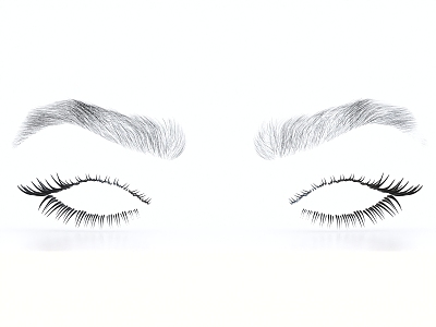 Eyebrows Eyelashes 3d model