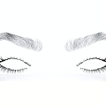 Eyebrows Eyelashes 3d model