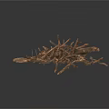 Arbor Branches Pile With Dry Twigs And Natural Brown Texture 3d model