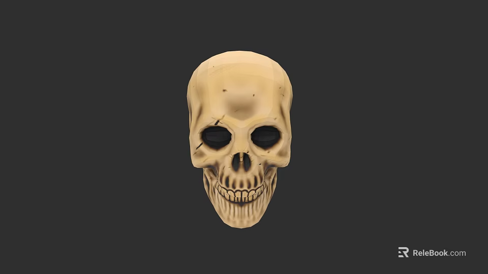 Realistic Beige Human Skull Model With Hollow Eye Sockets And Teeth 3d model 