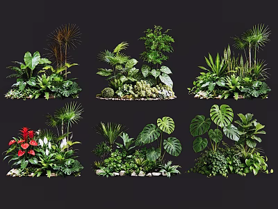 Garden Plant Combinations With Tropical Foliage Mixed Leaves And Small Stones 3d model