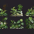 Garden Plant Combinations With Tropical Foliage Mixed Leaves And Small Stones