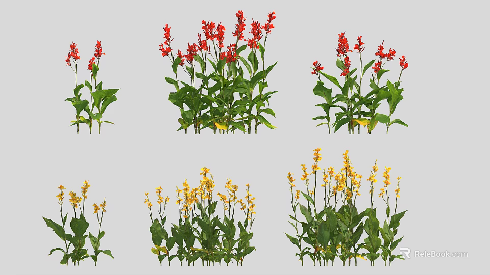 Colorful Garden Flowers With Red Yellow Blooms And Lush Green Leaves 3d model 