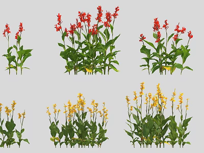 Colorful Garden Flowers With Red Yellow Blooms And Lush Green Leaves 3d model