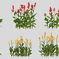 Colorful Garden Flowers With Red Yellow Blooms And Lush Green Leaves